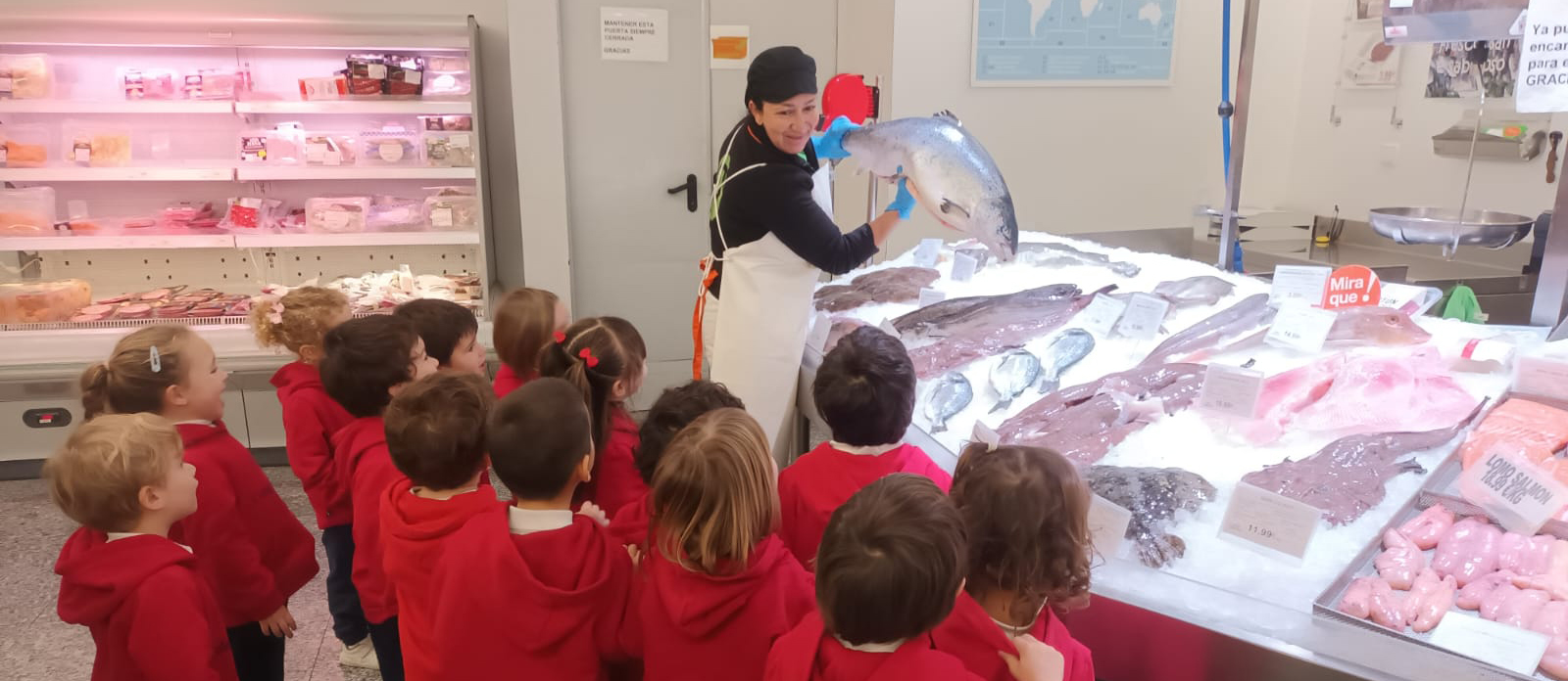 UNA VISITA MUY ESPECIAL: LOS PEQUEÑOS DEL COLEGIO LABOR EN PLENUS CAMELIAS 